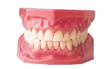 teeth.jpg